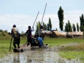 Bangweulu41©HeikeGrebe-Bassin-Congo.jpg