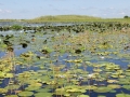 Bangweulu33©HeikeGrebe.jpg