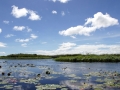 Bangweulu37©HeikeGrebe.jpg